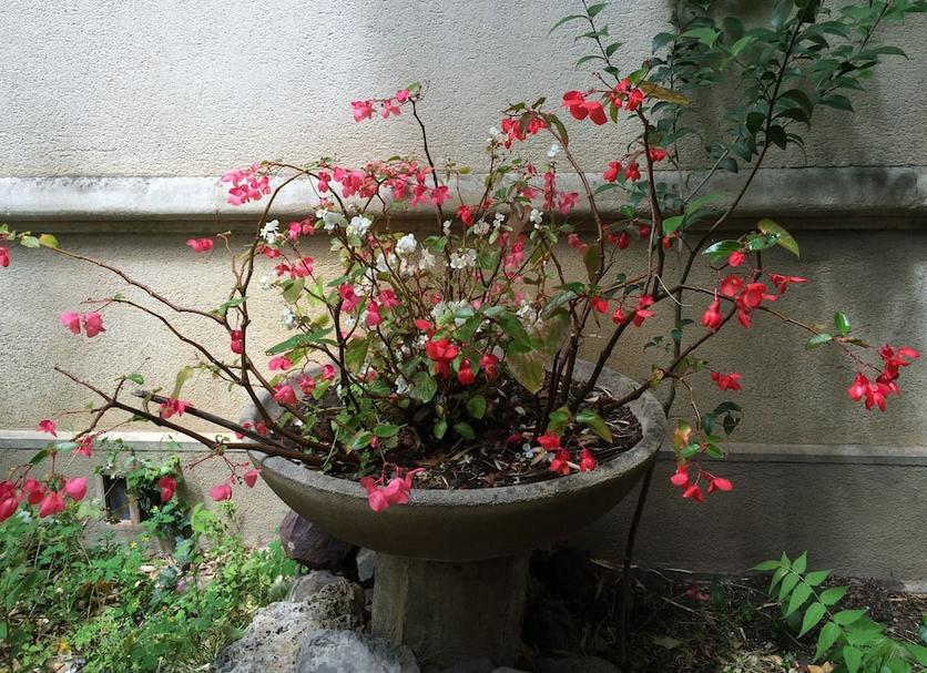 Cảnh ngoài trời Ảnh