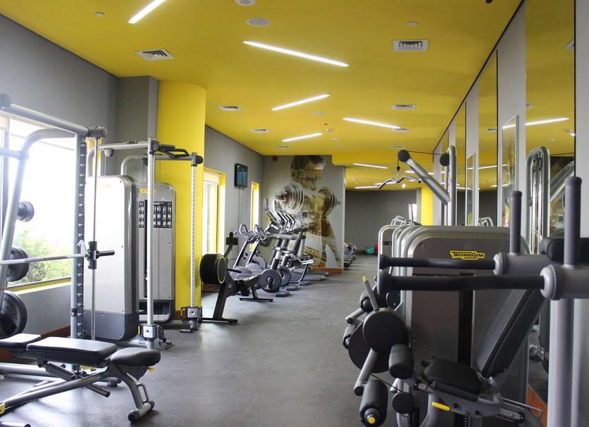 Gym Ảnh