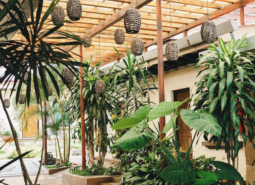 Cảnh ngoài trời Ảnh