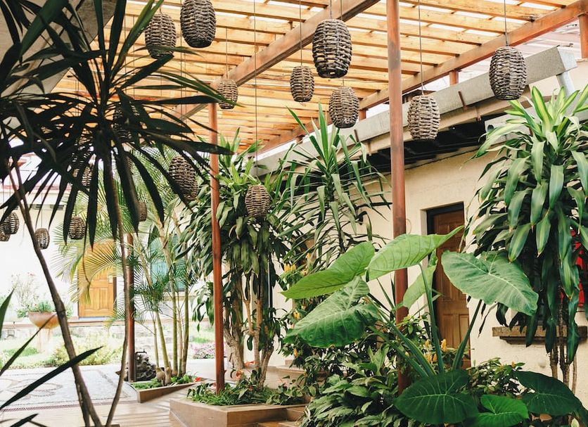 Khác Ảnh