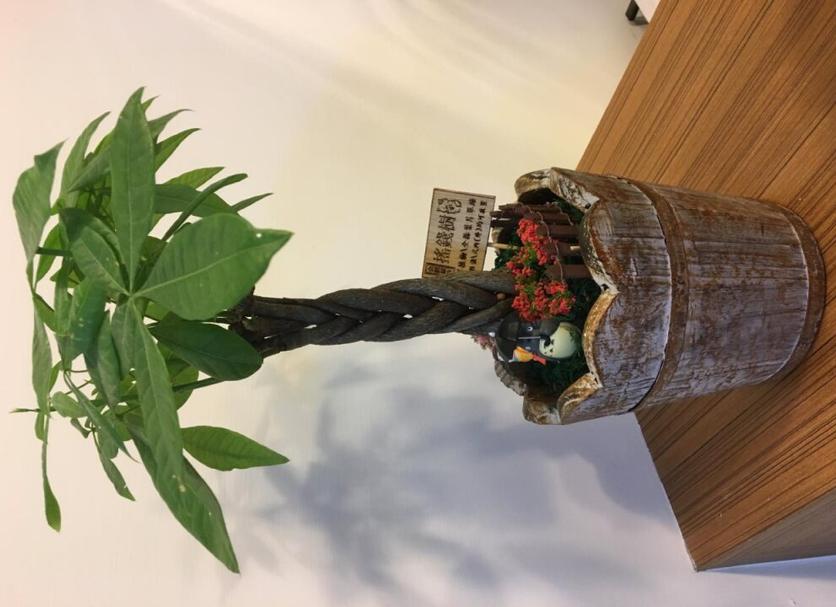 Khác Ảnh