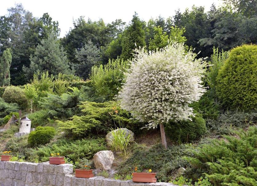 Cảnh ngoài trời Ảnh