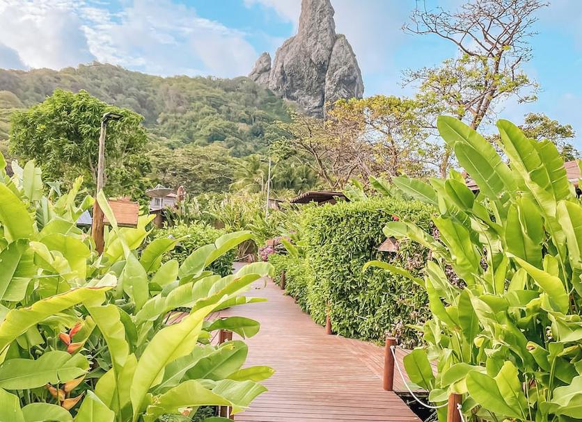 Cảnh ngoài trời Ảnh