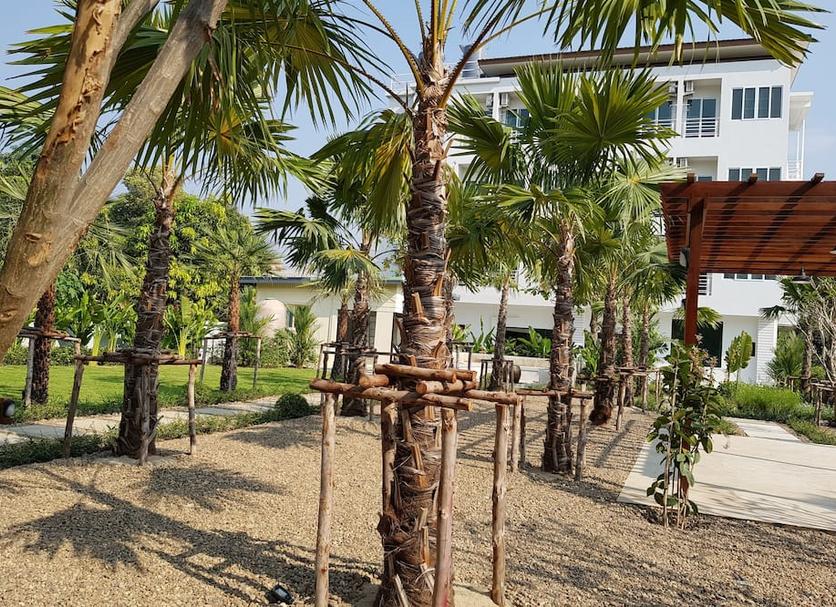 Cảnh ngoài trời Ảnh