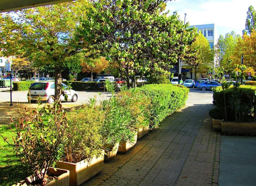 Cảnh ngoài trời Ảnh