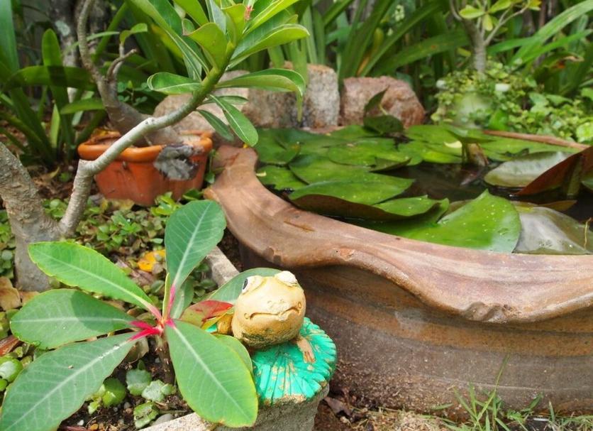 Khác Ảnh