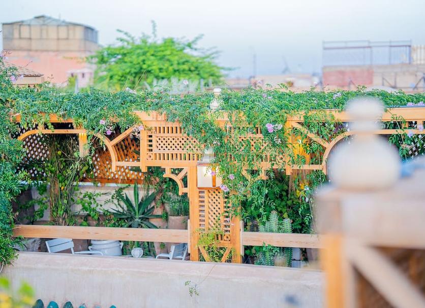 Cảnh ngoài trời Ảnh