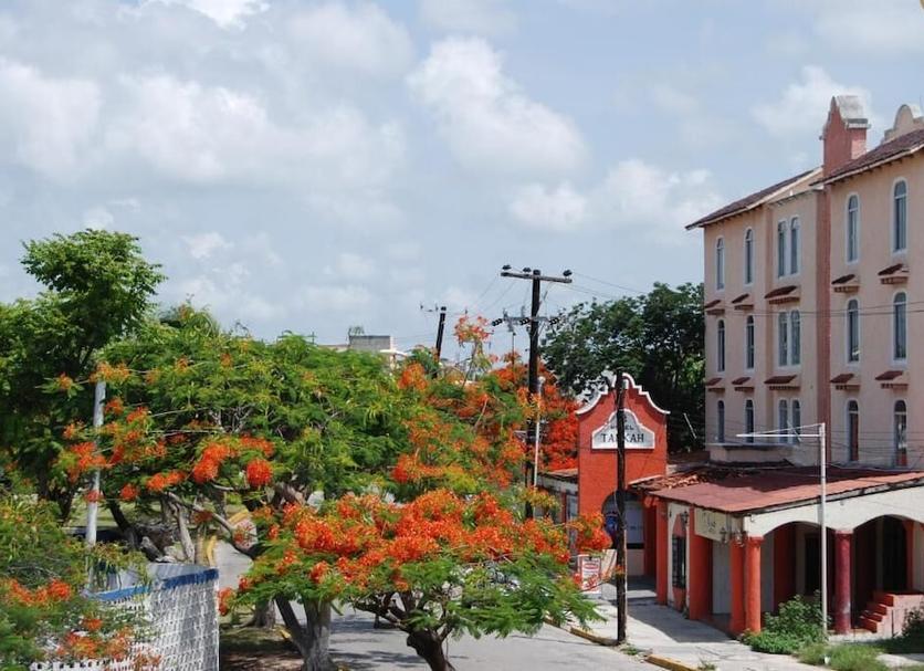Cảnh ngoài trời Ảnh
