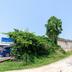 Cảnh ngoài trời