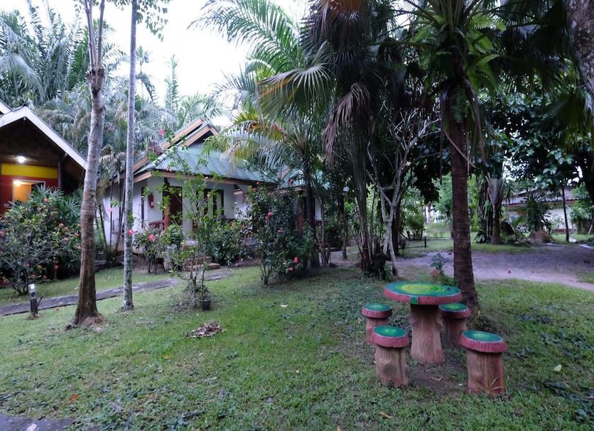 Cảnh ngoài trời Ảnh