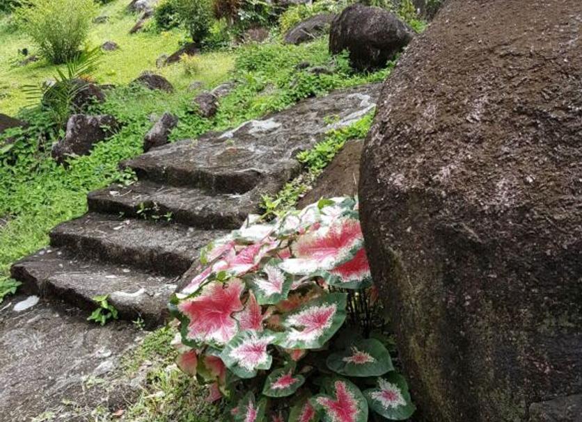 Cảnh ngoài trời Ảnh