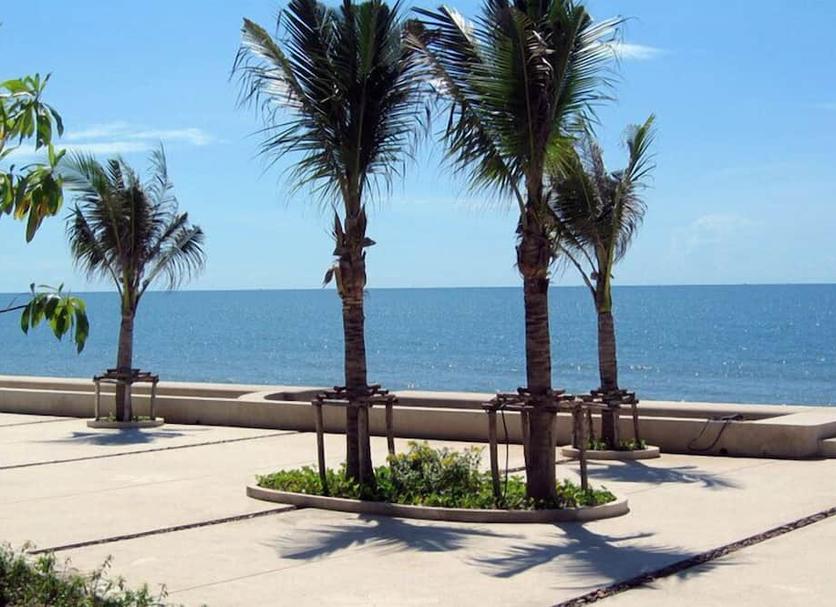 Bãi biển Ảnh