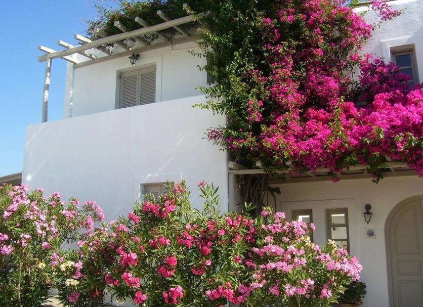 Cảnh ngoài trời Ảnh