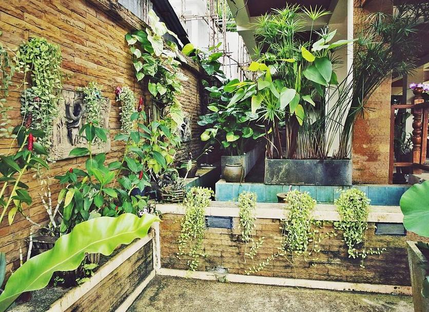 Cảnh ngoài trời Ảnh