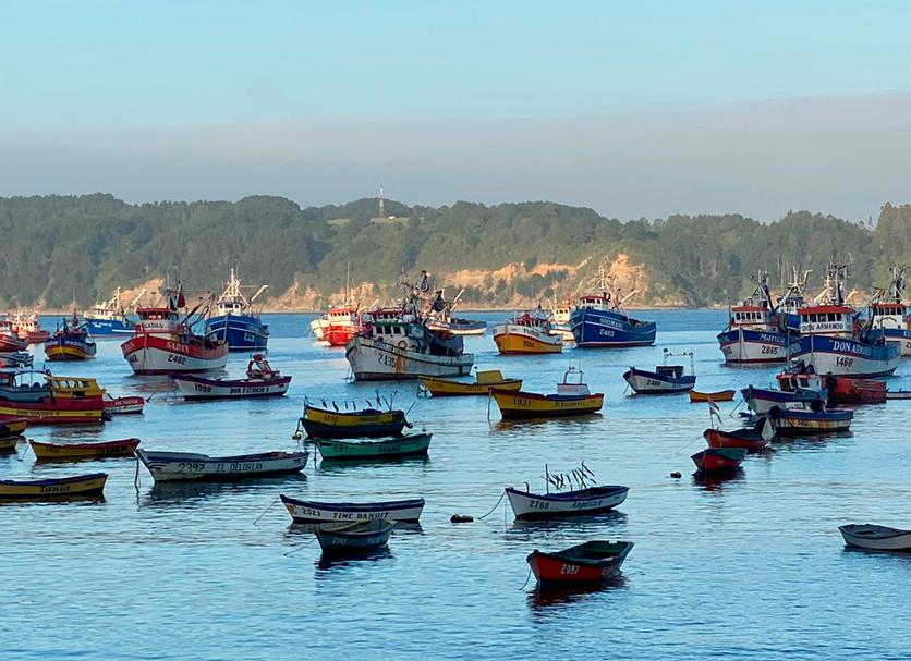 Cảnh ngoài trời Ảnh