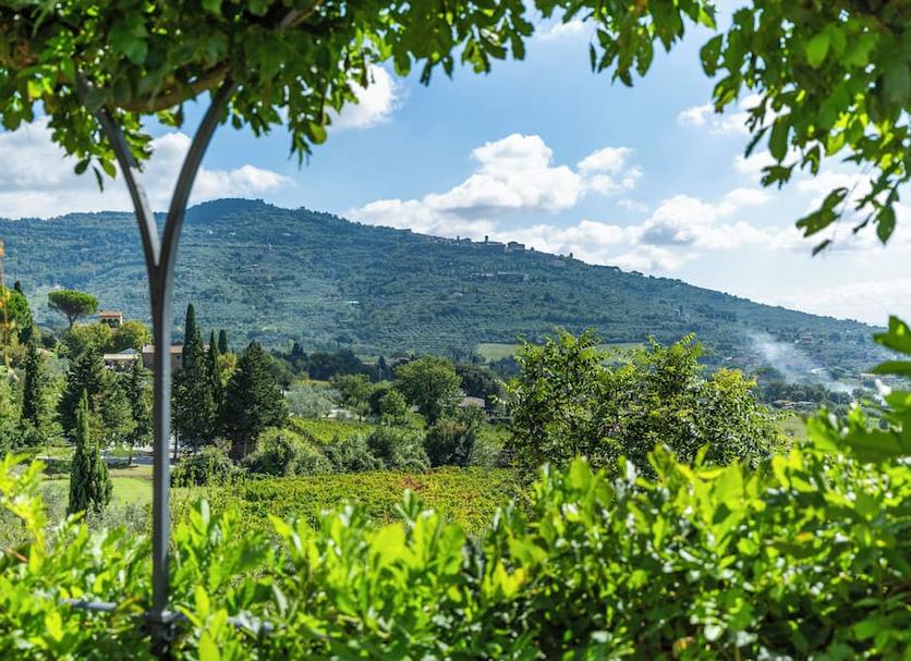 Cảnh ngoài trời Ảnh