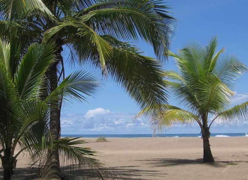 Bãi biển Ảnh