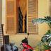 Cảnh ngoài trời