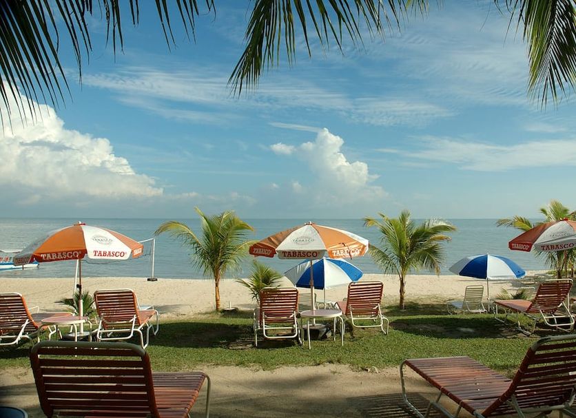 Bãi biển Ảnh