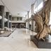 Hành lang