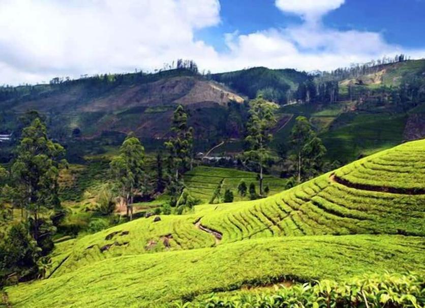 Cảnh ngoài trời Ảnh