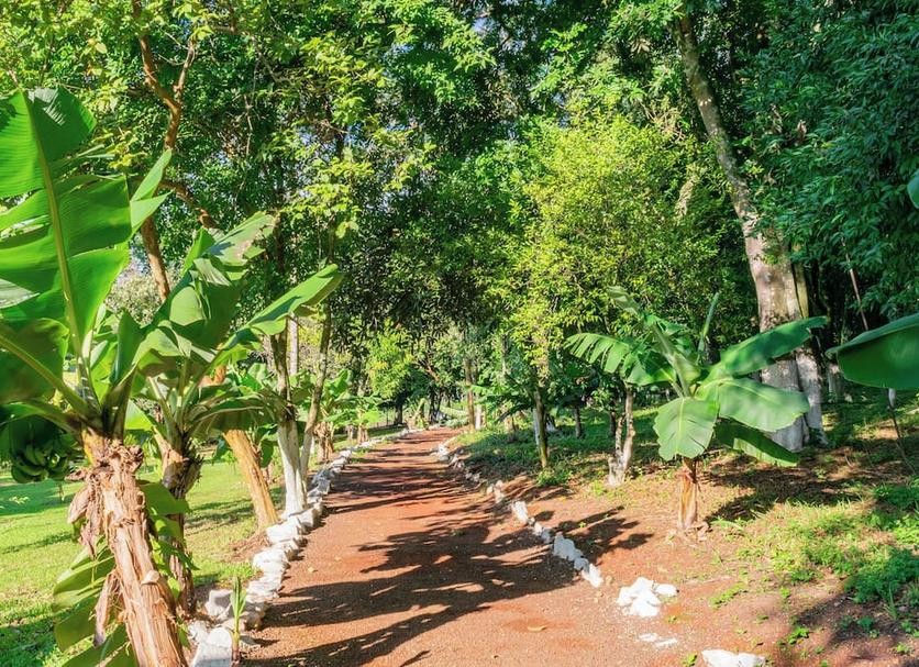 Cảnh ngoài trời Ảnh