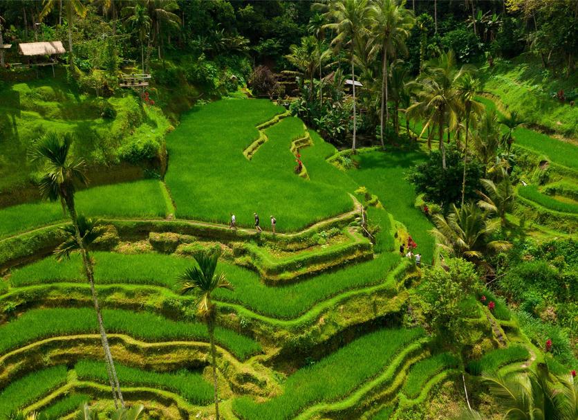 Cảnh ngoài trời Ảnh