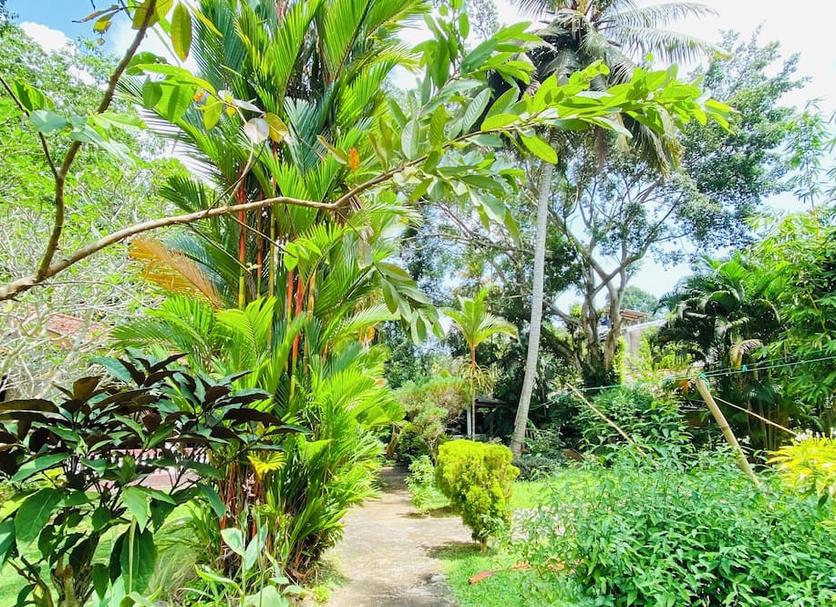 Cảnh ngoài trời Ảnh