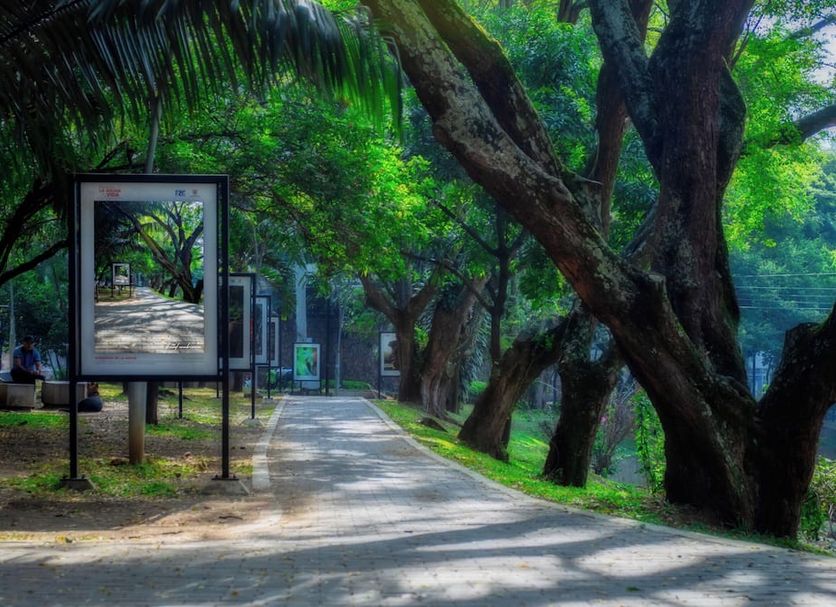 Cảnh ngoài trời Ảnh