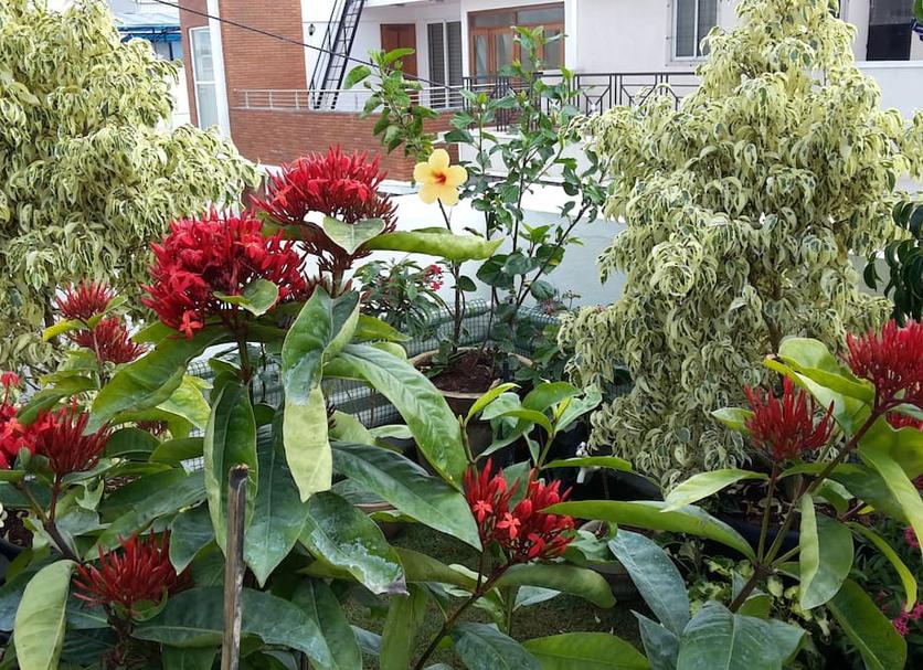 Cảnh ngoài trời Ảnh
