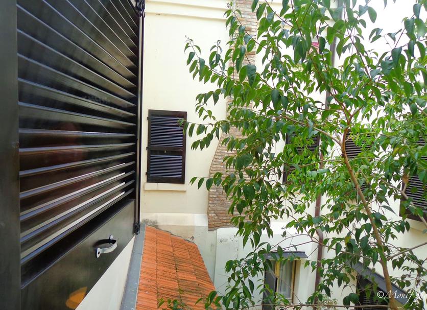 Cảnh ngoài trời Ảnh