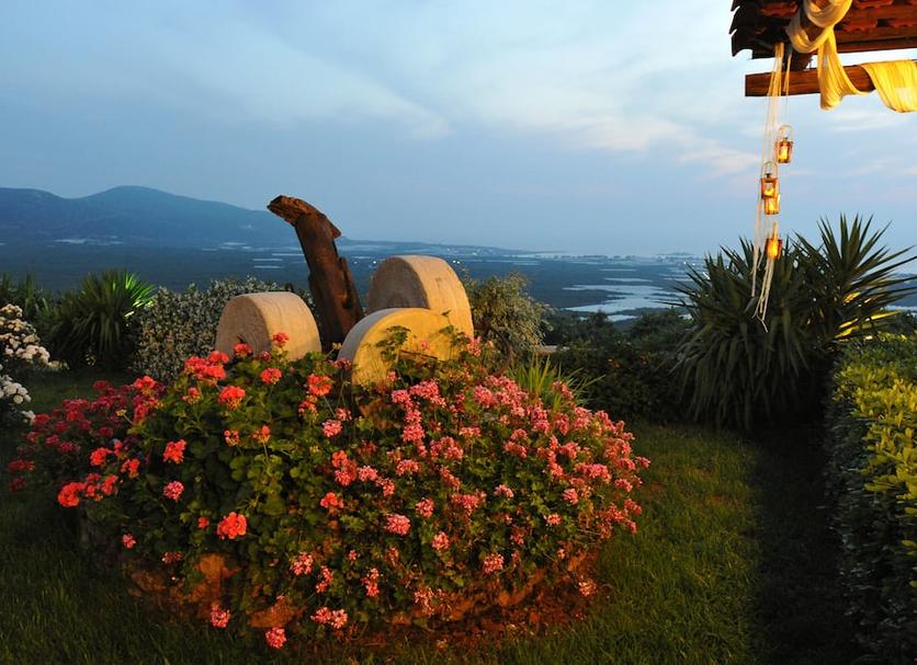 Cảnh ngoài trời Ảnh