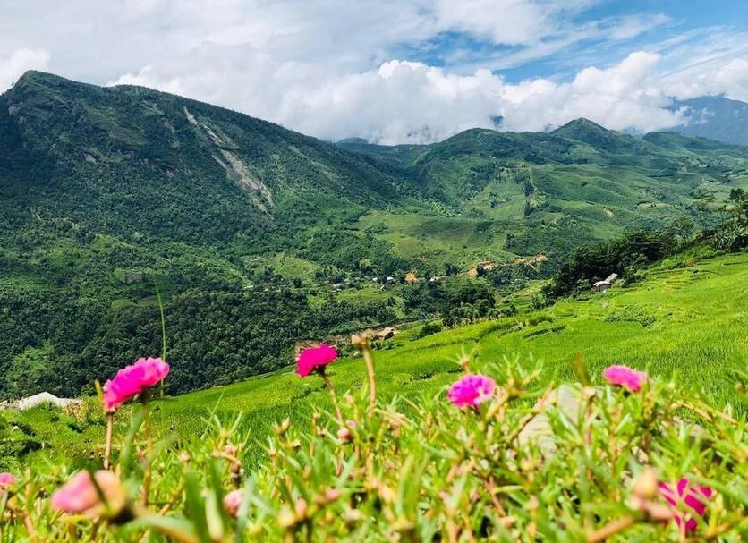 Cảnh ngoài trời Ảnh