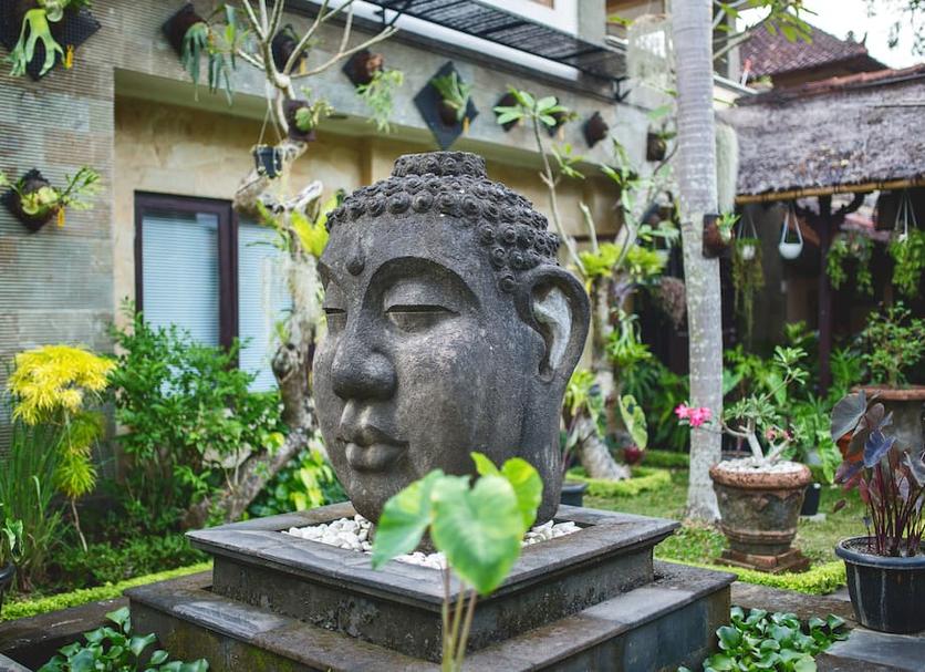 Cảnh ngoài trời Ảnh