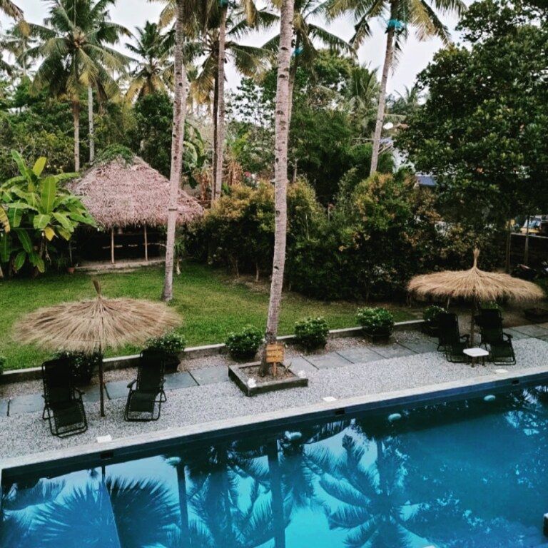 Bể bơi