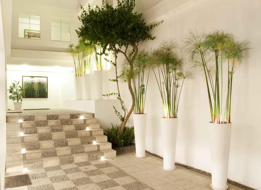 Cảnh ngoài trời Ảnh