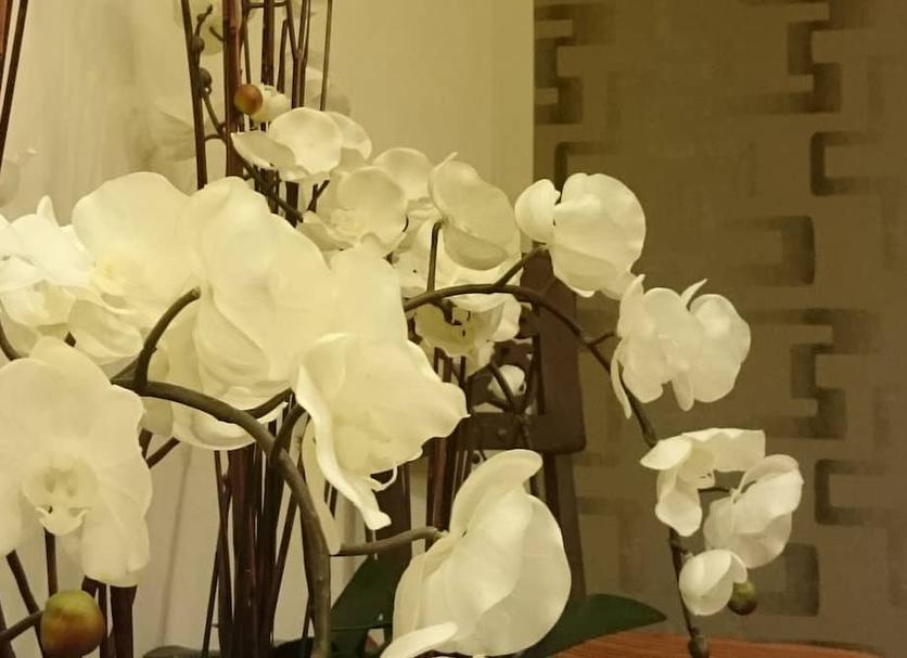 Tiện nghi trong phòng Ảnh