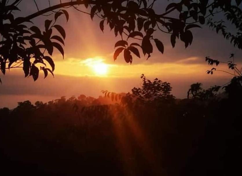 Cảnh ngoài trời Ảnh