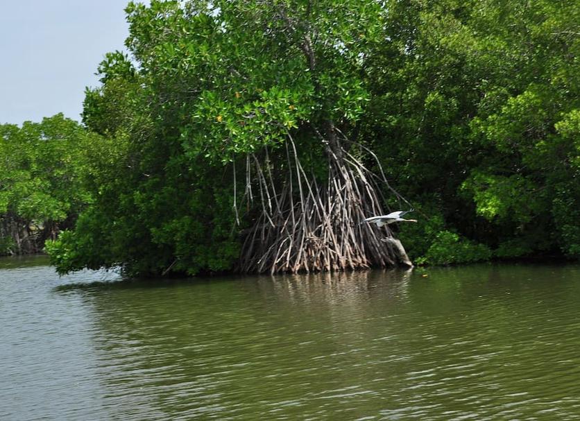 Cảnh ngoài trời Ảnh