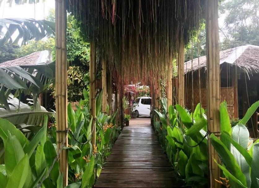 Cảnh ngoài trời Ảnh