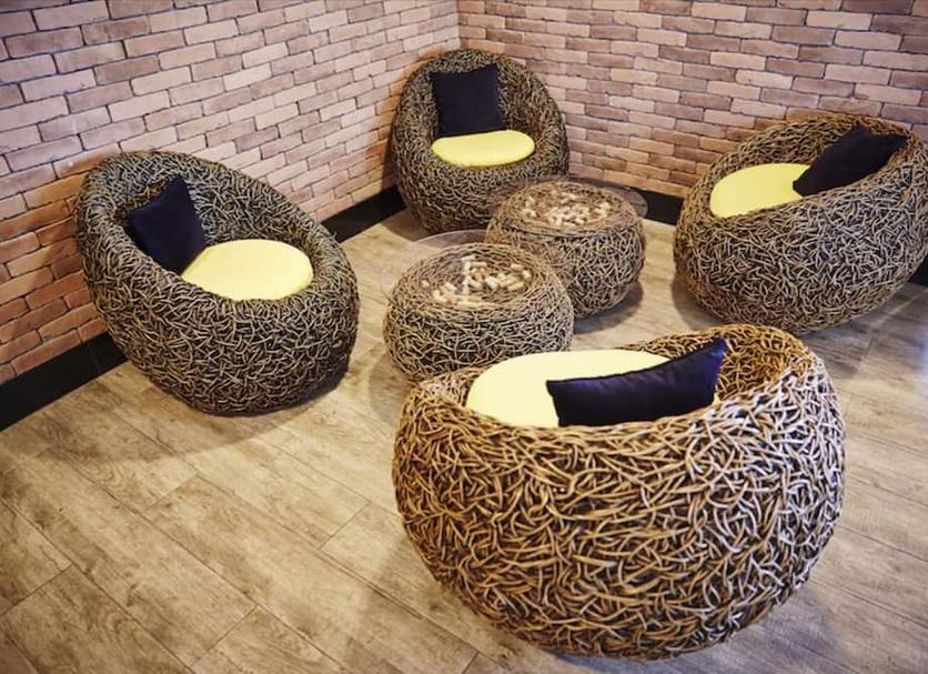 Lounge Ảnh