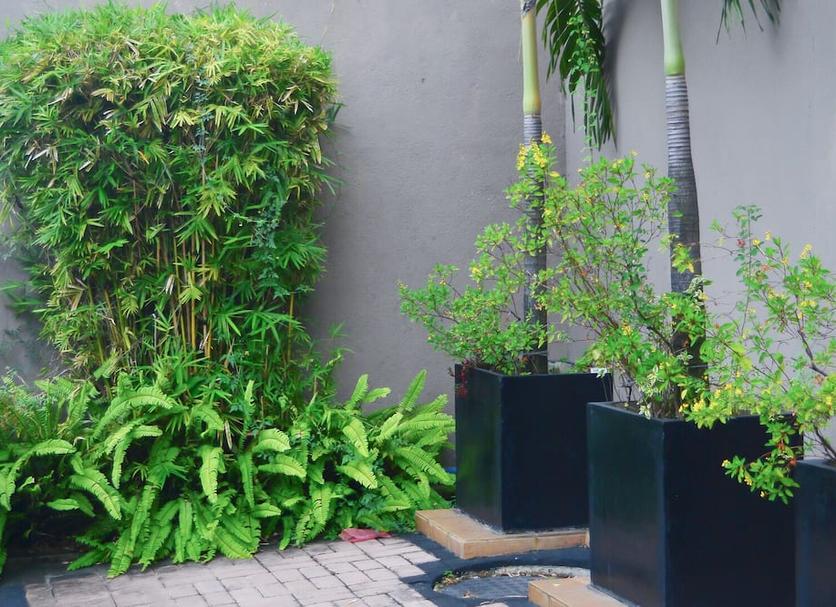 Cảnh ngoài trời Ảnh