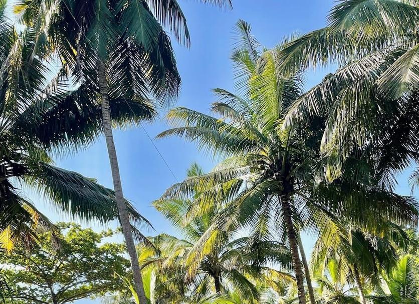 Cảnh ngoài trời Ảnh