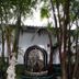 Cảnh ngoài trời