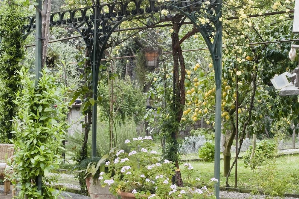 Cảnh ngoài trời