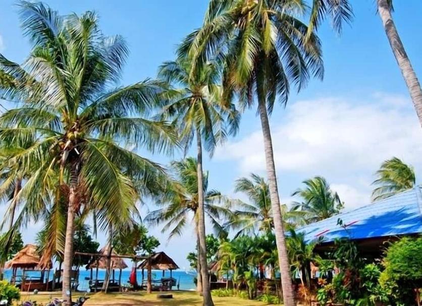 Cảnh ngoài trời Ảnh