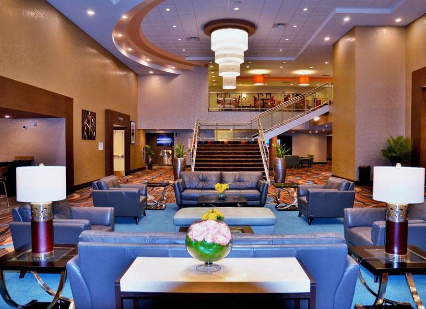 Lounge Ảnh