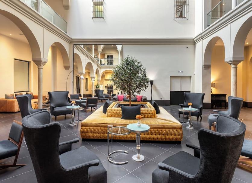 Lounge Ảnh