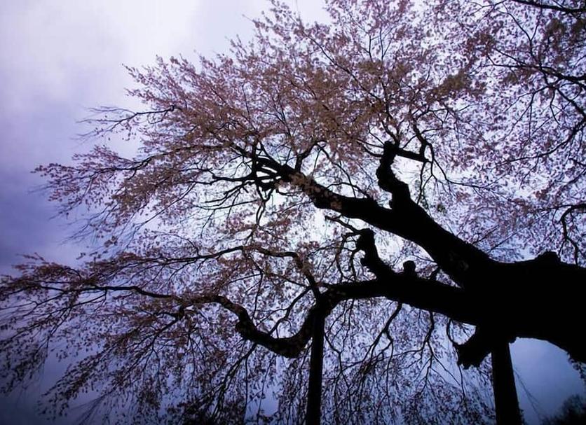Cảnh ngoài trời Ảnh