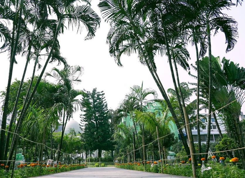 Cảnh ngoài trời Ảnh